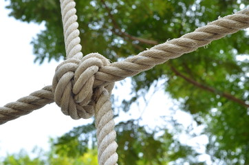 Rope knot line tied together with nature background,as a symbol for trust, teamwork or collaboration