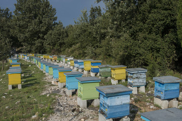 Beehive,Albania