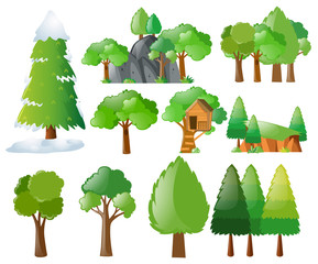 Different types of trees