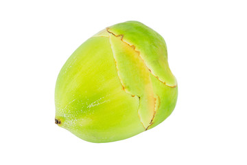 young coconut on white