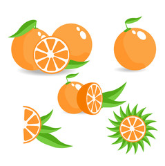 Orange fruit with leaves set of different fresh fruit eps 10