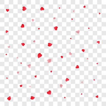 Valentines petals falling on transparent background