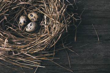 Naklejka na ściany i meble quail eggs in nest on wooden tabletop, rustic background