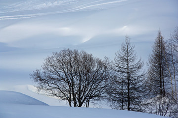 Champ de neige immaculé en Savoie, France
