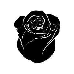 rose silhouettes isolated illustration on white background