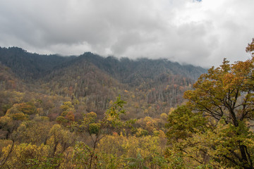 Fall at the Great Smoky Mountains National Park