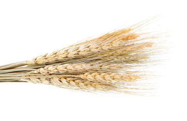 Barley Grains Isolated on White Background