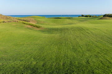 Perfect grass meadow