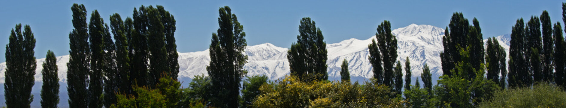 Andes & Treeline, Lujan De Cuyo,Mendoza