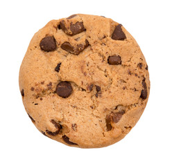 Chocolate chip cookie