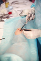 Suturing wounds close up