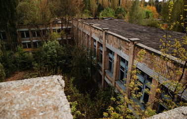 Fototapeta na wymiar Chernobyl exclusion zone with ruins of abandoned pripyat city zo