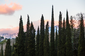 Cypress mountains in the background and clouds illuminated by th