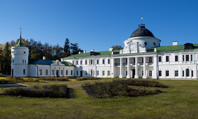 Palace facade fragment in the estate Kachanovka  Chernigov regio