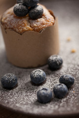 Blueberry muffin in a dish decorated with fresh blueberry and white candle on the table