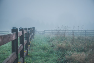 Morning in a fog