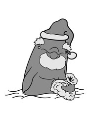 Santa claus santa claus christmas cap sack old beard winter water dolphin swim cute cute