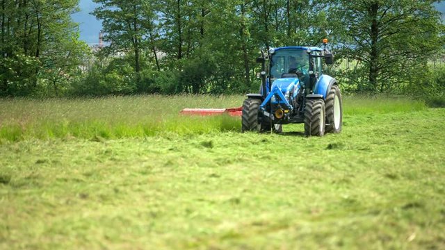 A blue tractor and the machinery are outside on the grass field and are cutting fresh grass. It is a warm summer day.
