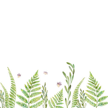 watercolor green ferns and plants on white clip art preview