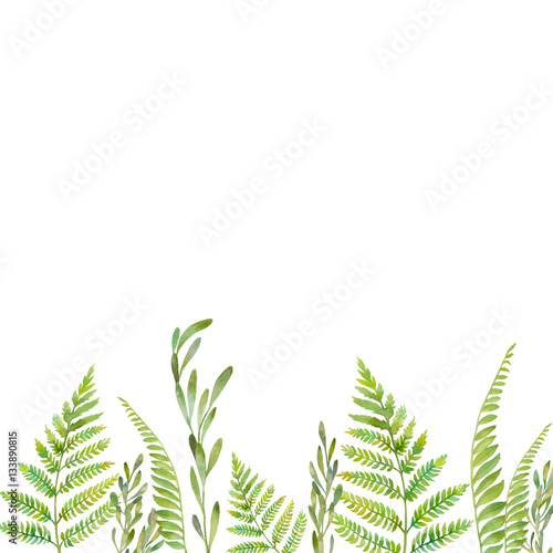 Watercolor Forest Plants Frame Hand Painted Greenery Border Watercolor Forest Plants Frame Hand Painted Greenery Border Isolated On White Background Fl Silhouette