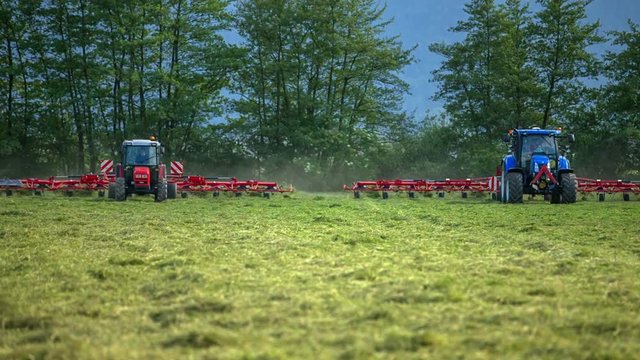Three big tractors are organizing hay on the grass field. They are pulling big rotary rakes behind them and are driving into the same direction.
