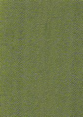 abstract cellular background