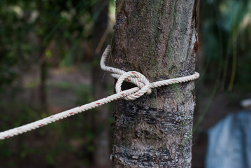 tie a knot camp