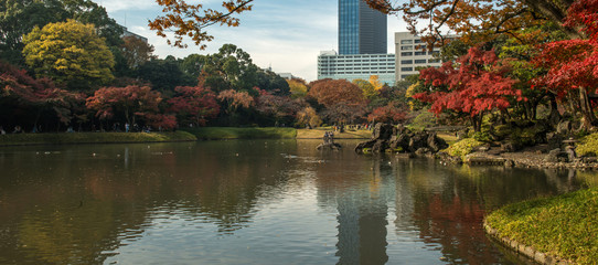 Obraz premium Japanese garden in Tokyo