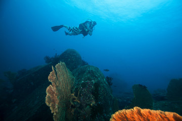 Fototapeta na wymiar Scuba diver. Similan islands. Andaman sea. Thailand.
