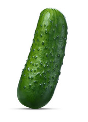 fresh green cucumber