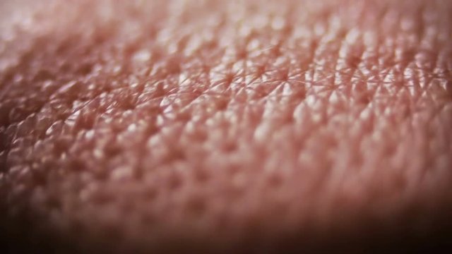 
00:01 | 00:12
1&times;

Close up microscope view skin.