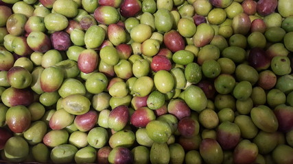 Fresh Olives
