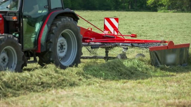 We can observe the work of a rotary hay rake when a farmer is working on the mown grass. Hay is flying everywhere around.
