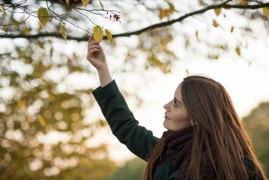 Young woman in rural setting, touching autumn leaf on tree