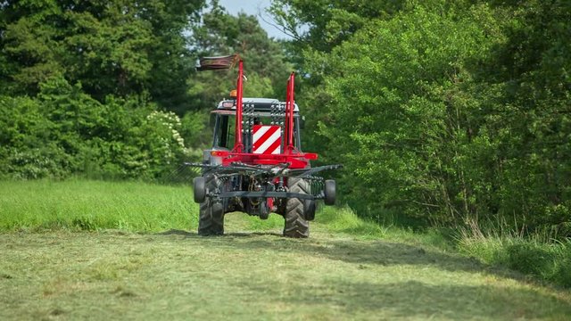 A red tractor is preparing hay with a rotary hay rake. A farmer is working hard outside on this summer day.

