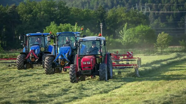 A tractor and an agricultural machinery are driving across the field and raking hay. Straw is fyling everywhere around. It is summer time.
