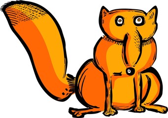 Funny fox