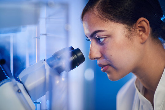 Scientist in laboratory looking through microscope