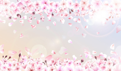 Obraz na płótnie Canvas Blooming cherry. Spring background. Falling sakura pink petals. EPS 10 vector
