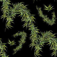 Watercolor illustration of bamboo leaves , seamless pattern on dark background