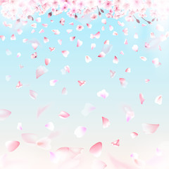 Blooming cherry. Spring background. Falling sakura pink petals. EPS 10 vector