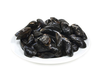 Raw oysters. Isolated on white background