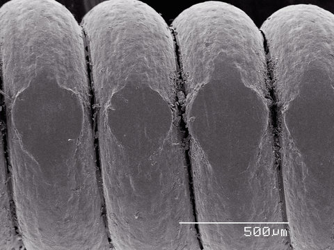 Worn portion of guitar string