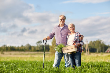 senior couple with shovel and carrots on farm