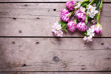 Naklejka na ściany i meble Spring tulips and apple tree flowers on aged wooden background