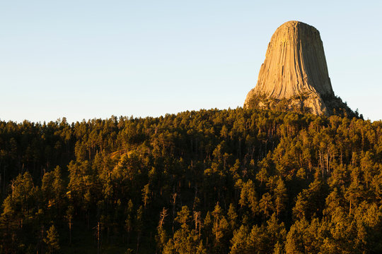 Devil's Tower National Monument, Wyoming, USA