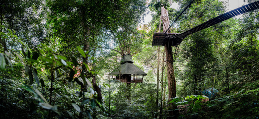 Treehouse, Ban Nongluang National Park, Champassak province, Paksong, Laos