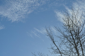 sky on me