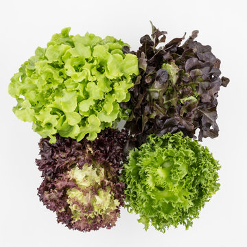 Top view of Mix Salad Leaves Background