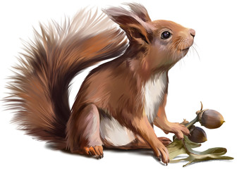 Squirrel watercolor painter © Kajenna